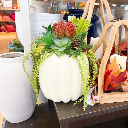 Kohl's Fall Decor on Sale
