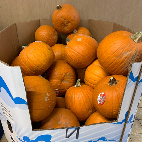 best deals on fresh pumpkins