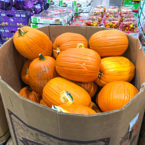best deals on fresh pumpkins