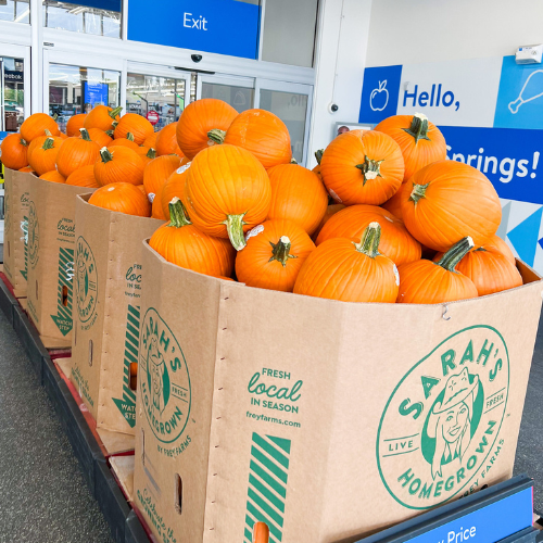 best deals on pumpkins