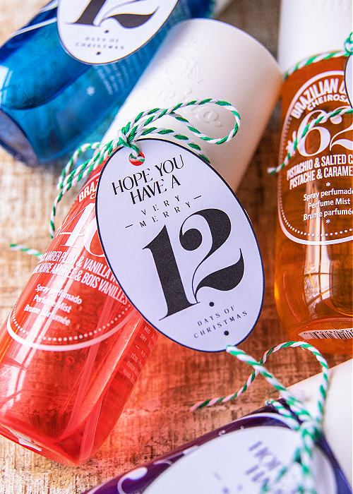 sol de janeiro holiday tag free printable gift idea