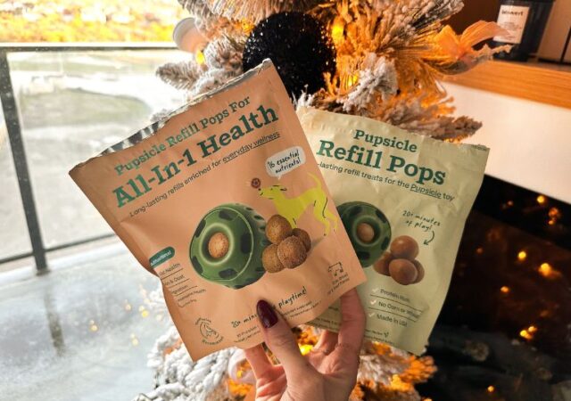 chewy-dog-treats-on-sale