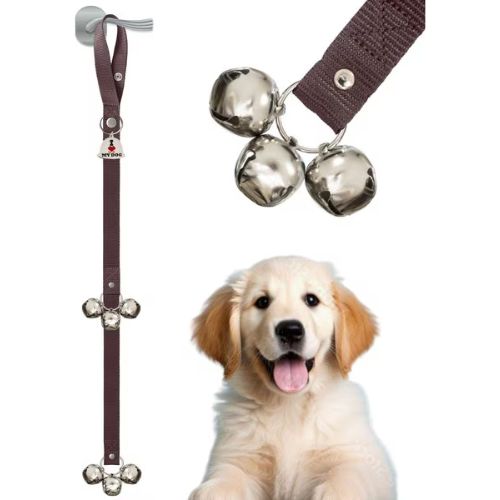 Chewy Dog Treats on Sale