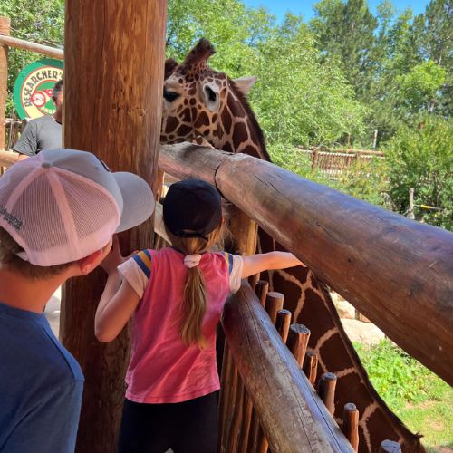 How to Create a Kids’ Summer Bucket List on a Budget