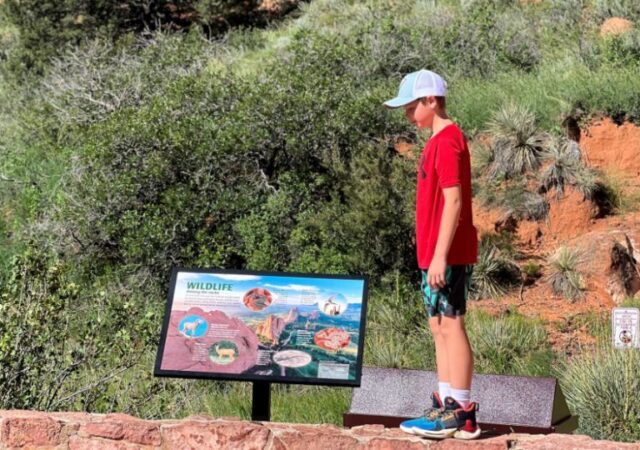 how-to-plan-a-family-vacation-on-a-budget