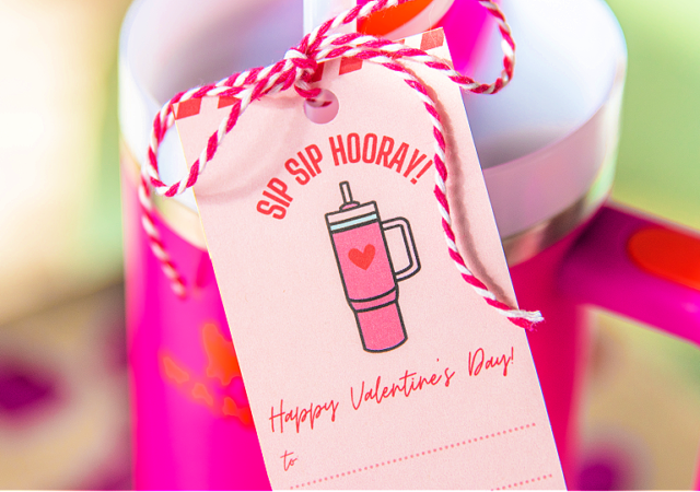 sip sip hooray tag for a stanley mug straw topper