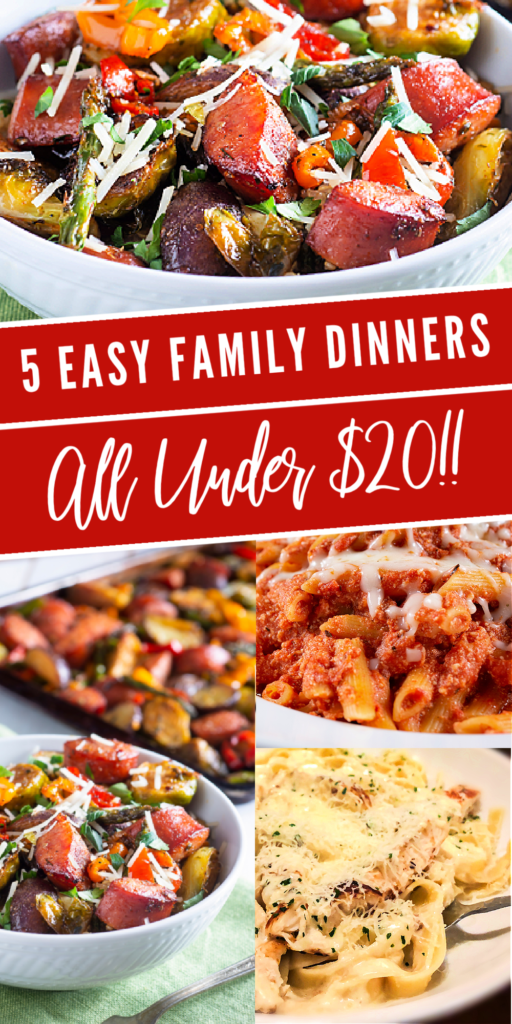 5 easy and affordable family dinner ideas for under $20