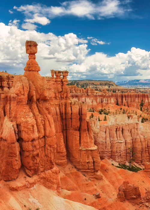 how to save money on national park trips without breaking the bank