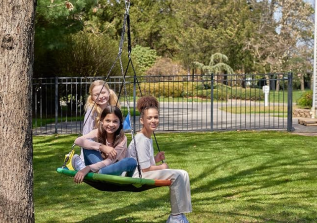 Tree Saucer Swing