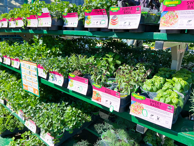 Best Memorial Day Sales