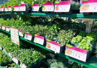 Best Memorial Day Sales