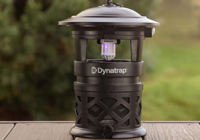 dynatrap-insect-traps-on-sale-1