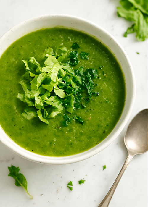 fresh lettuce and herb soup spring soup recipe green soup idea