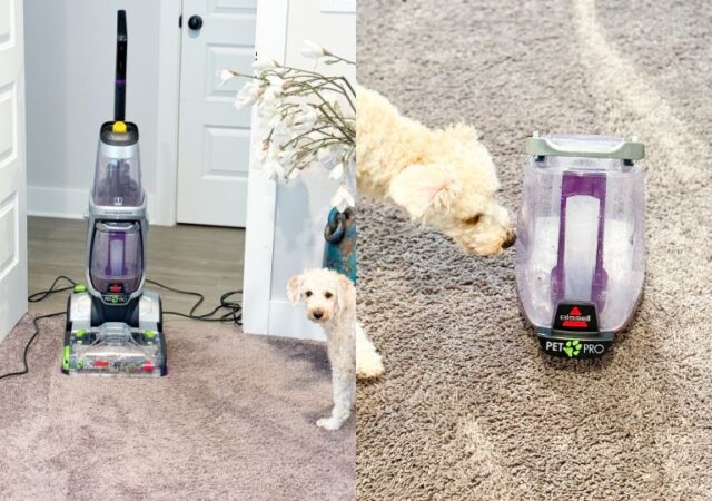 carpet cleaners on sale