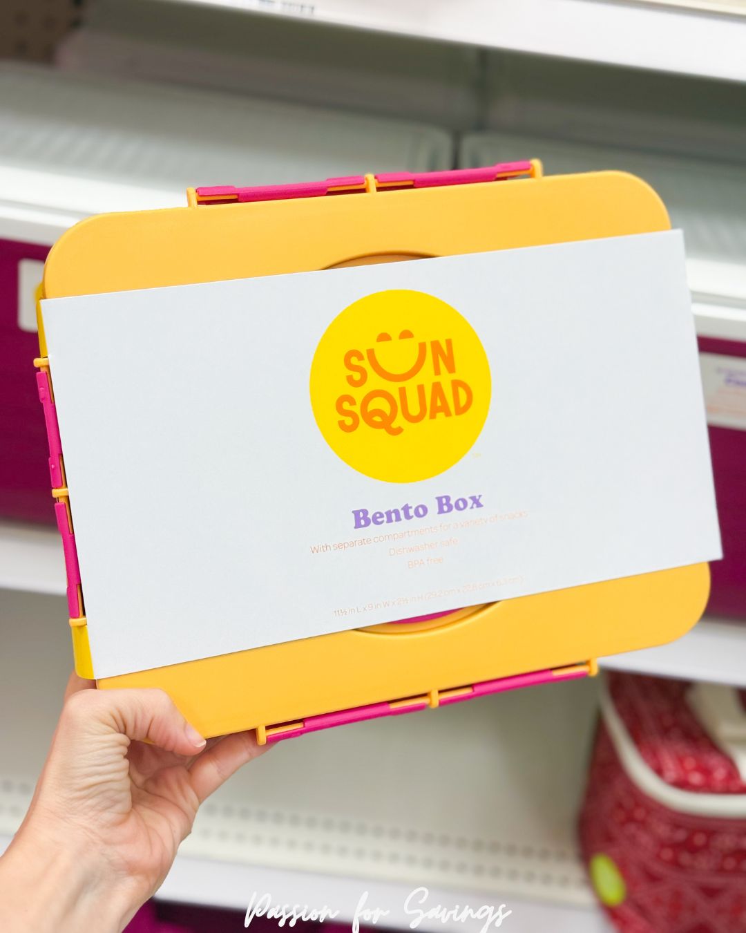 Bento Boxes