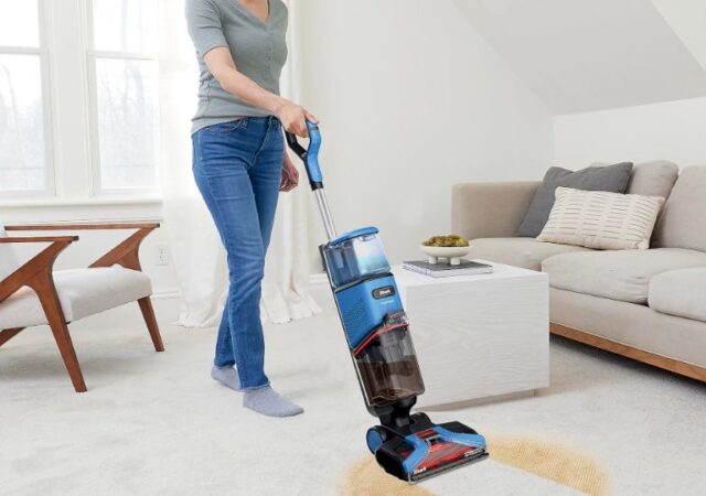 Shark Carpet Cleaner on Sale