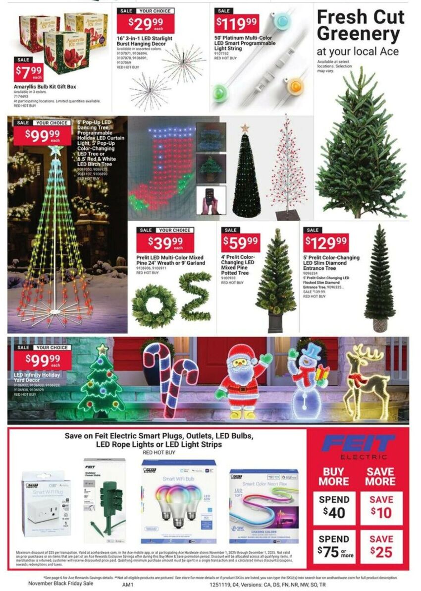 Ace-Hardware-Black-Friday-Ad-Scans-8