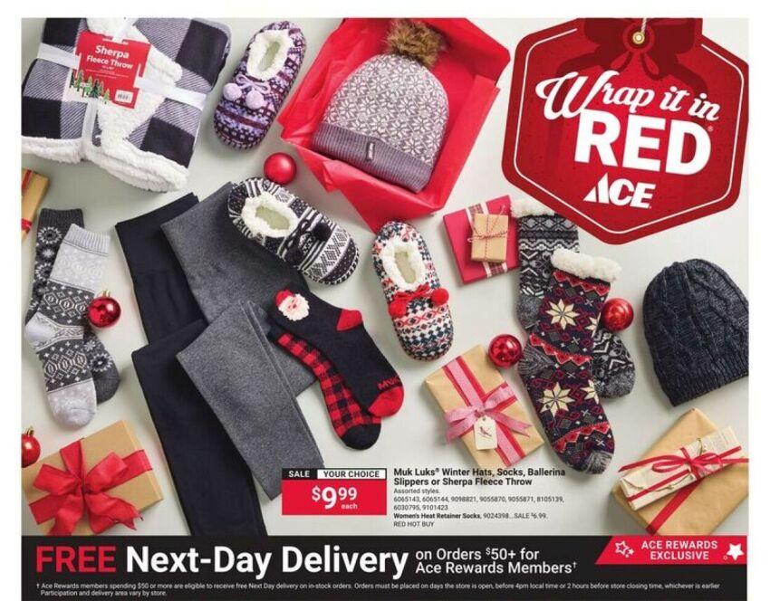 Ace-Hardware-Black-Friday-Ad-Scans-9