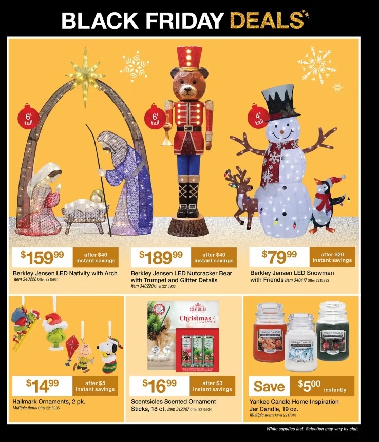 BJs-Black-Friday-Ad-Scans-15