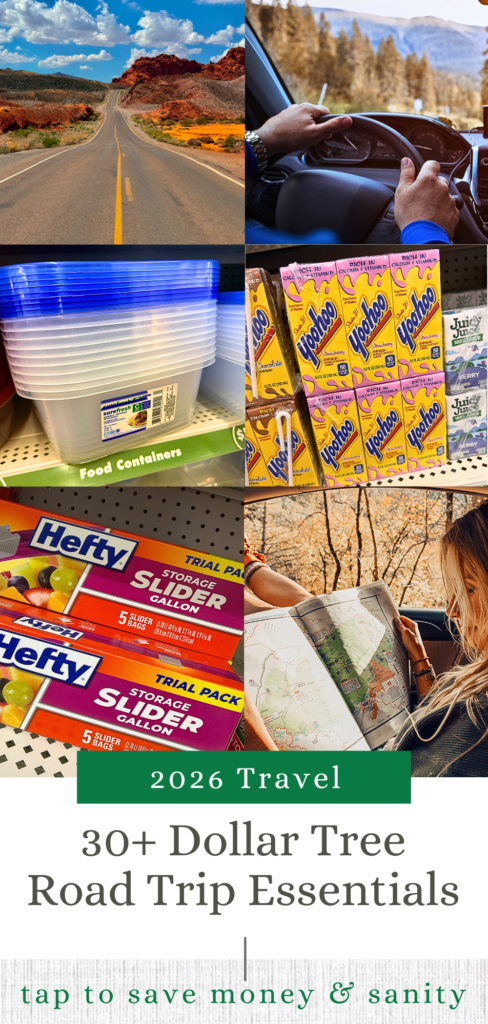 dollar tree road trip essentials 
