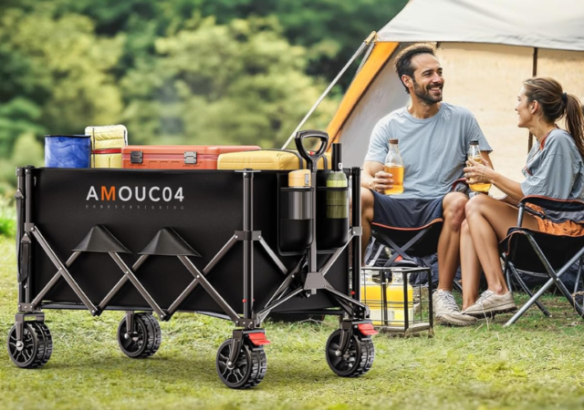Outdoor Wagon Cart