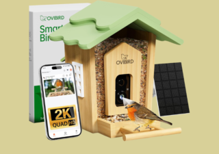 smart-bird-feeder-on-sale-2