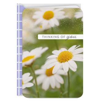 daisies hallmark card