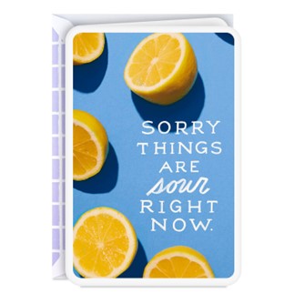 lemon sorry things are sour right now hallmark card