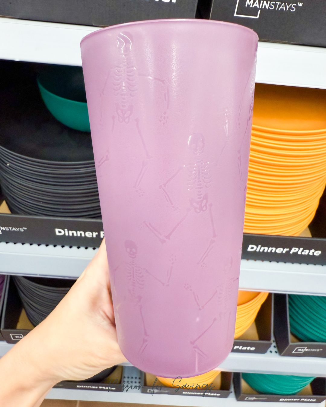 Plastic Dishes