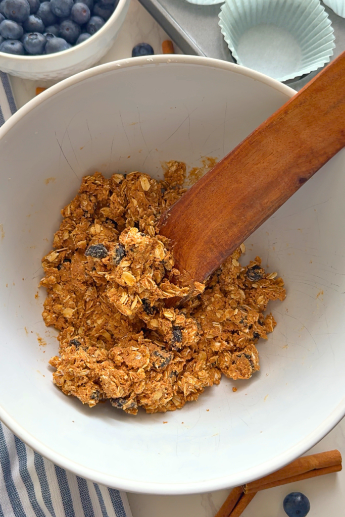 no-bake blueberry protein bites